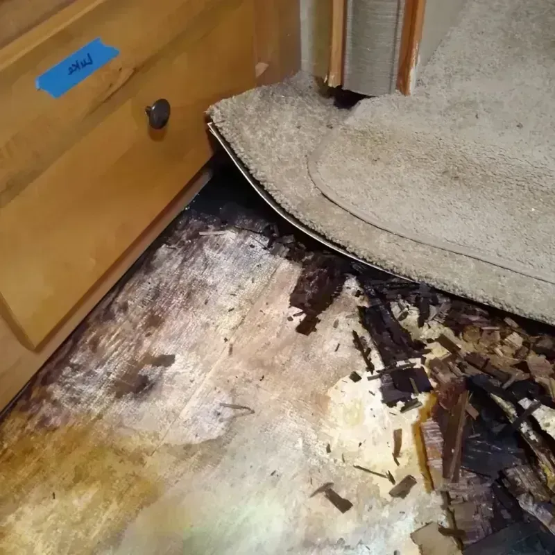 Wood Floor Water Damage in Girard, KS